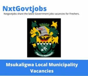 Msukaligwa Municipality Director Community Services Vacancies in Ermelo 2022 Apply now @msukaligwa.gov.za