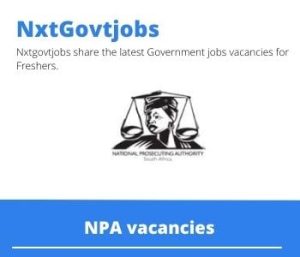 NPA Finance Clerk vacancies in Nelspruit 2022 Apply now @npa.gov.za