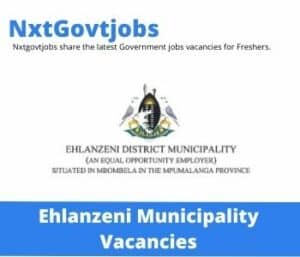Ehlanzeni Municipality Environmental Health Practitioner Vacancies in Nelspruit – Deadline 15 June 2023