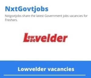 Lowvelder Caretaker Vacancies in Nelspruit- Deadline 05 Jan 2024
