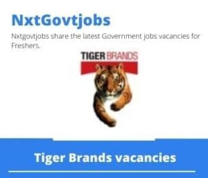Tiger Brands Risk Control Officer Vacancies in Nelspruit – Deadline 23 Oct 2023